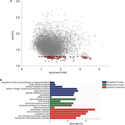 Genome-Wide Identification and Evaluation of New Reference Genes for Gene Expression Analysis Under Temperature and Salinity Stresses in Ciona savignyi